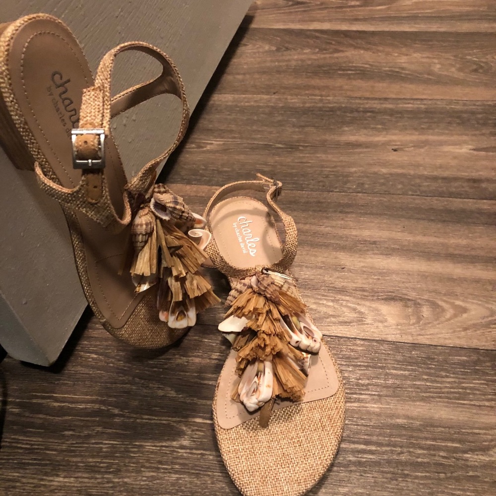 NWT Charles David SEASHELL raffia fringe T sandal